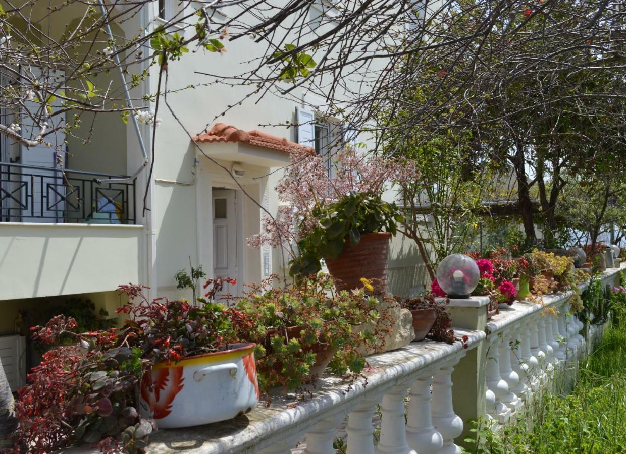Araucaria Home Lixouri Exterior photo
